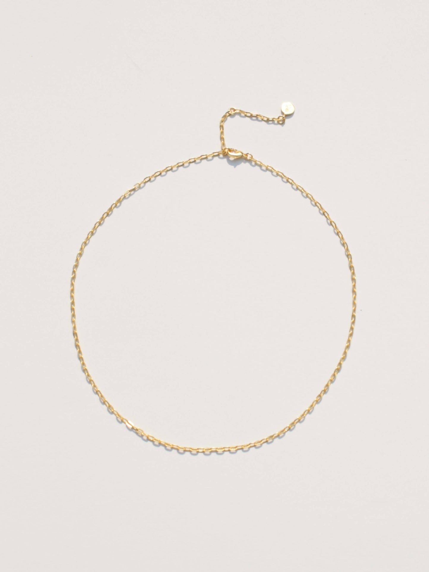 Paperclip Chain Necklace Necklace Rover & Kin