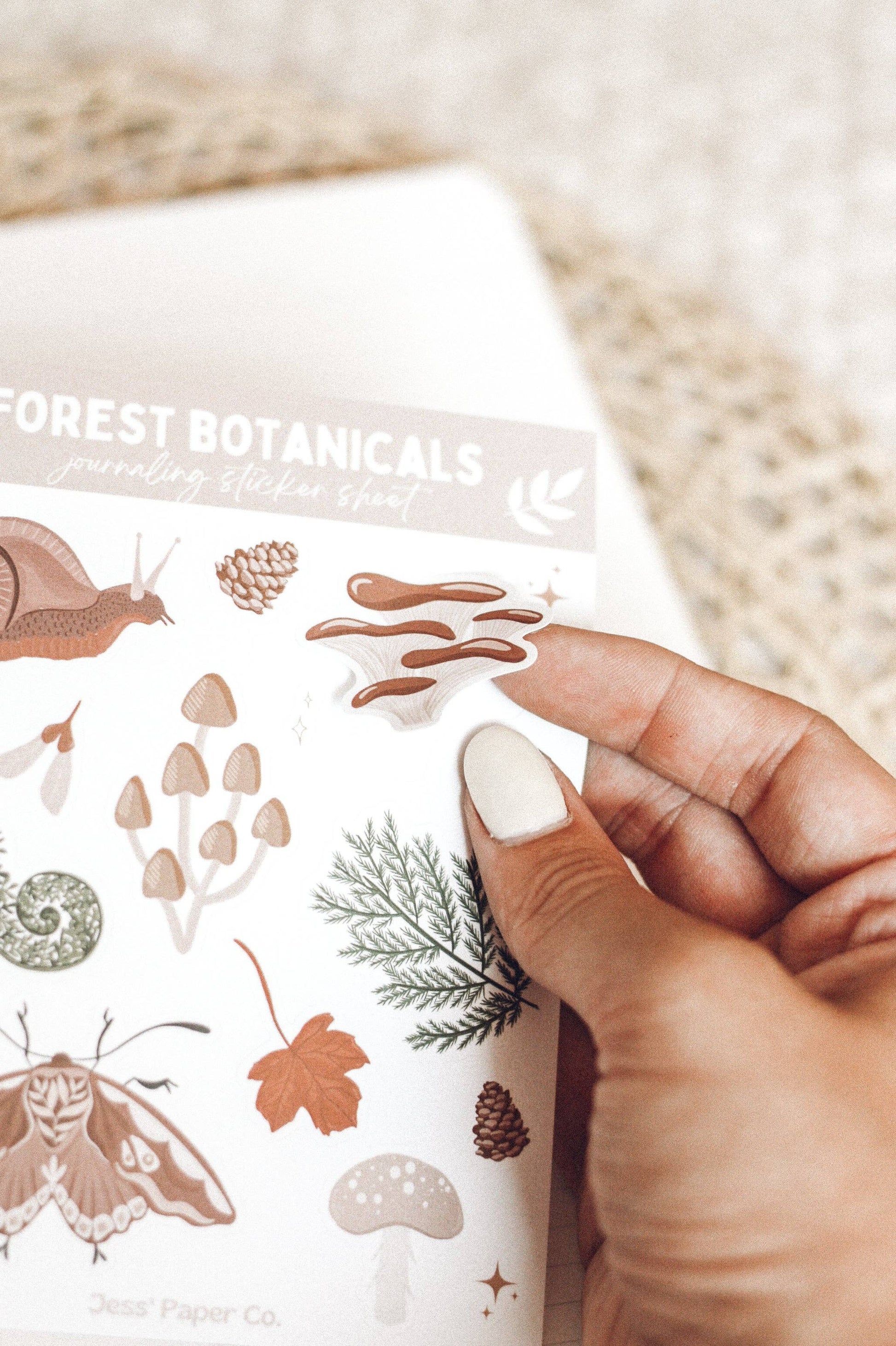 Forest Botanicals Sticker Sheet Home Goods Jess' Paper Co.   