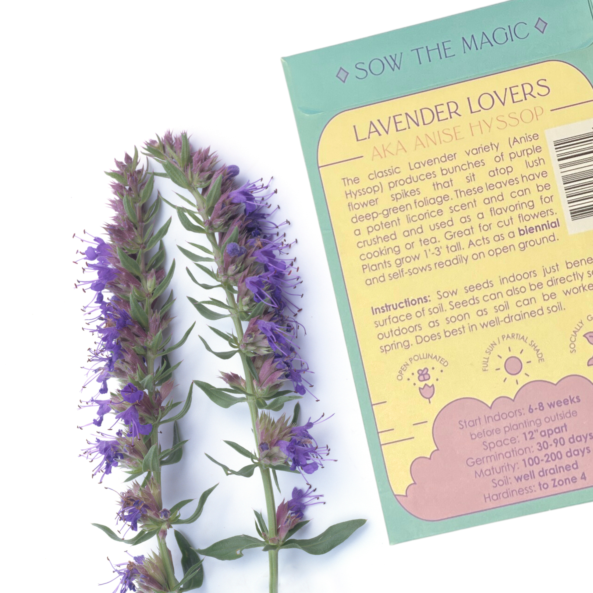 Lavender Lovers Tarot Garden + Gift Seed Packet Home Goods Sow the Magic