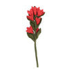 Felt Indian Paint Brush Flowers - Red Home Decor Global Goods Partners   