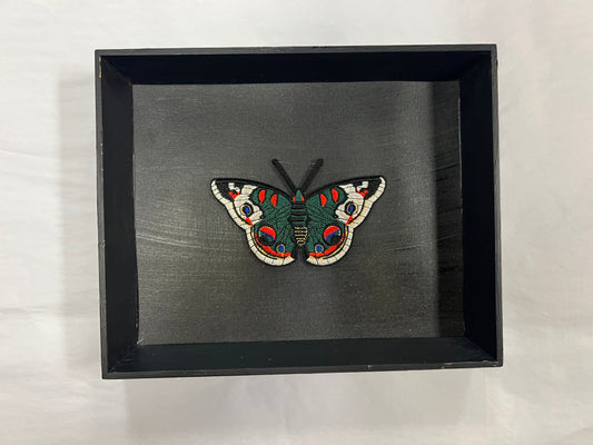 Moth patch shadow box Home Decor Cheeky Pieces   