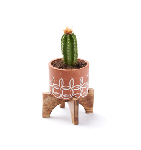 Terra Mango Planter with Stand - Small Home Goods Matr Boomie   