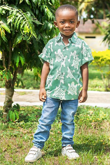 Button Down Shirt: Turtles - Sage-Organic Shirts Global Mamas   