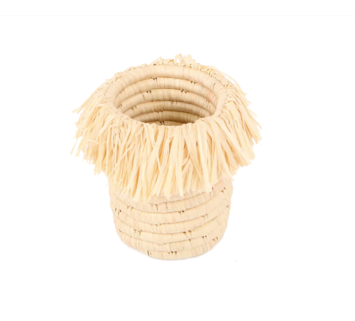 Natural Fringed Brush Cup Home Goods Kazi   