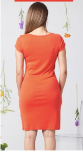 Raina Dress - Ginger Dresses Known Supply   