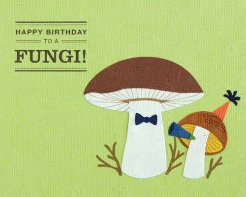 Happy Birthday Fungi  Good Paper   