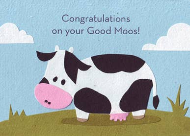 Good Moos Congratulations Greeting Card Home Goods Good Paper   