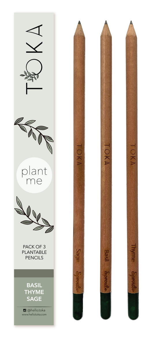 TOKA | Plantable Pencils | 3 Pack | Herbs Home Goods The Card Bureau   